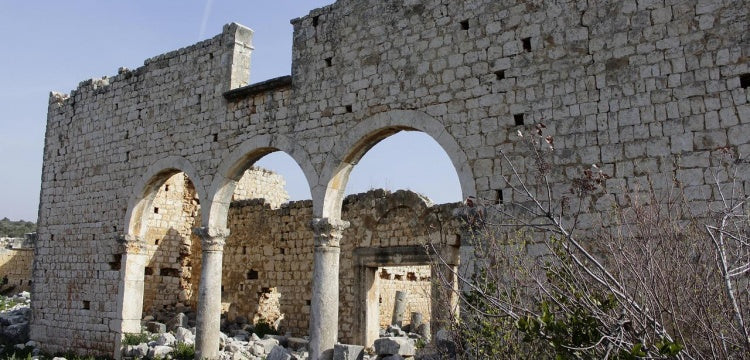 Rahip Edwin John Davis'in gözünden bir zamanlar ANADOLU'da