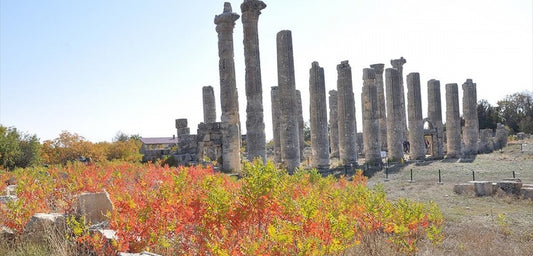 Mersin Arkeoloji Günleri, Uzuncaburç Ayağa Kalkıyor temasıyla gerçekleştirildi