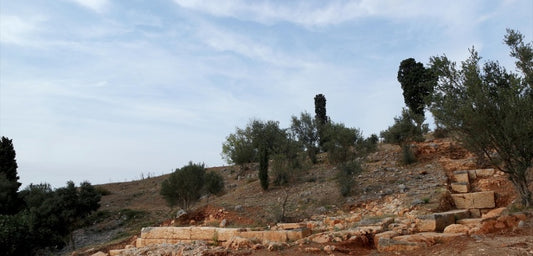 Apollonia ad Rhyndacum antik tiyatrosunun basamakları surlarda bulundu