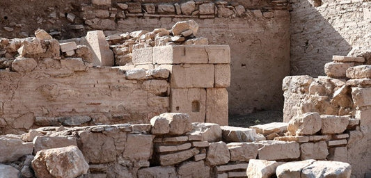 Efes Antik Kenti'nde midye dolu kaseler ile salamura balıklar bulundu