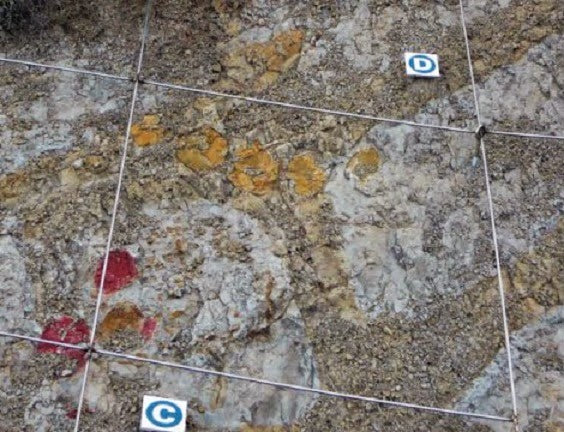 Dinozor Yuvasındaki Yumurtalara Zarar Verildi