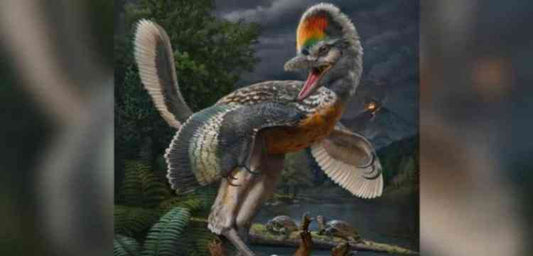 Çin'de kuşa benzeyen bir dinozor türü keşfedildi: Fujianvenator prodigiosus