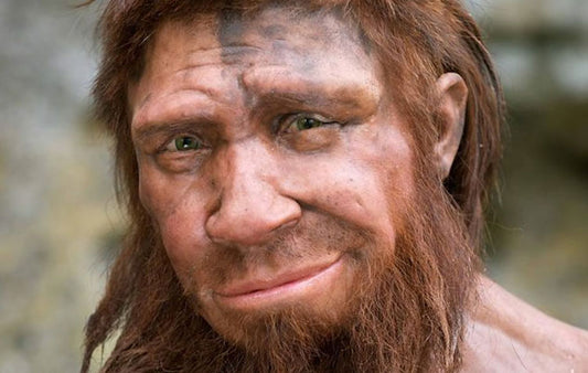 İnsanlar Sanılandan Çok Daha Önce Neandertallerle Çiftleşmeye Başladı