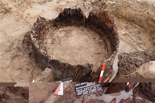Almanya'nın Delbrück-Bentfeld Kentinde 1.600 Yıllık Gizemli Roma Dönemi Mezarı Ortaya Çıkarıldı