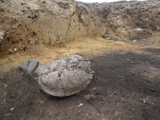 Yeni Stadyum İnşaatı Öncesinde 3000 Yıllık Tunç Çağı Yerleşimi Ortaya Çıkarıldı