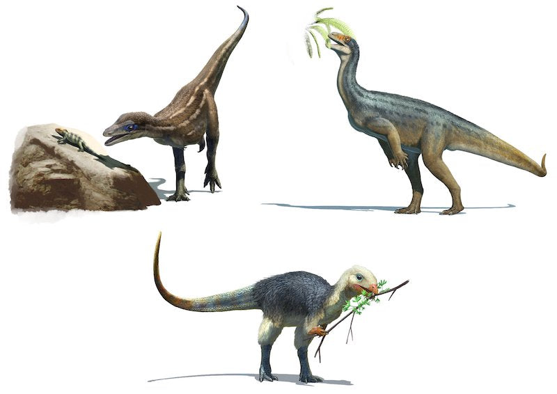 İlk Dinozorların Menüsünde Ne Vardı?
