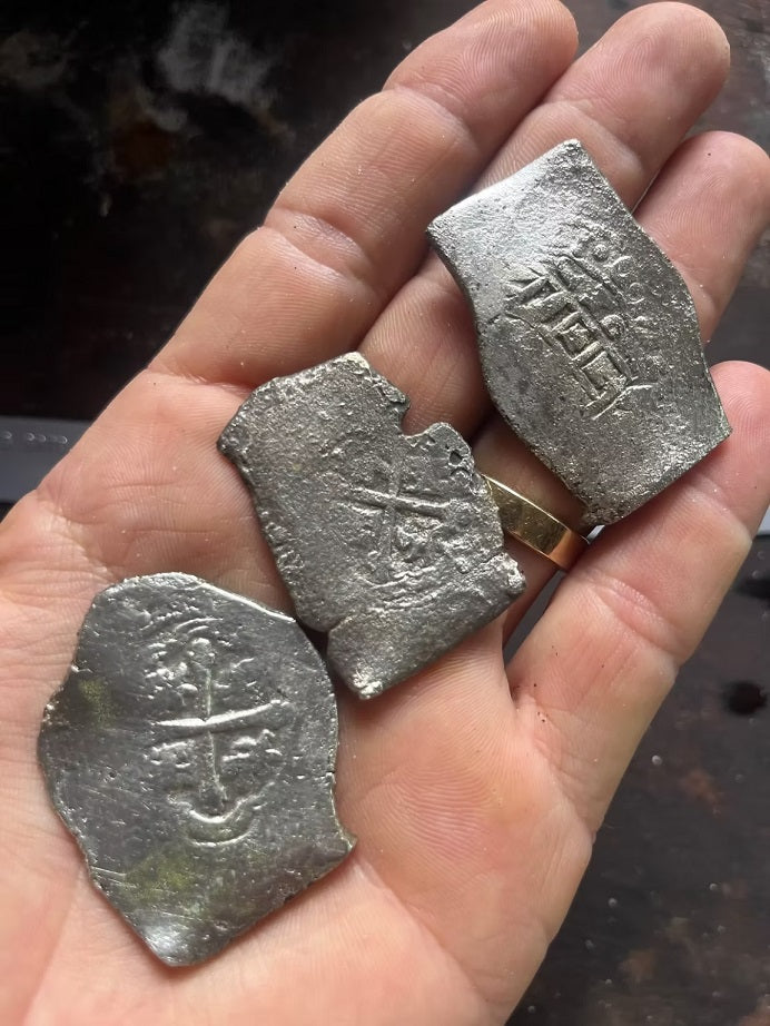 Dalgıçlar, Florida'nın 1715'teki 'Hazine Filosu' Batıklarından 1 Milyon Dolar Değerinde 1.000'den Fazla İspanyol Parası Buldu