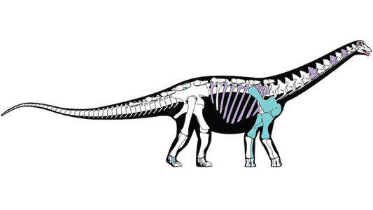 Mısır’da Yeni Bir Dinozor Türü Bulundu