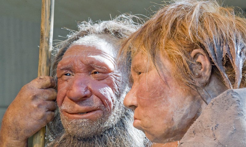 Neandertallerin Çenesi Homo Sapiens’ten Daha Güçlü Değildi