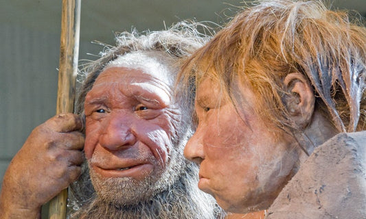 Neandertallerin Çenesi Homo Sapiens’ten Daha Güçlü Değildi