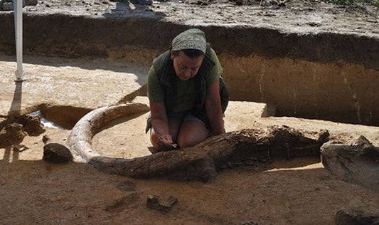 Avusturya'da taş devrinde tüylü mamut avlanılan alan keşfedildi