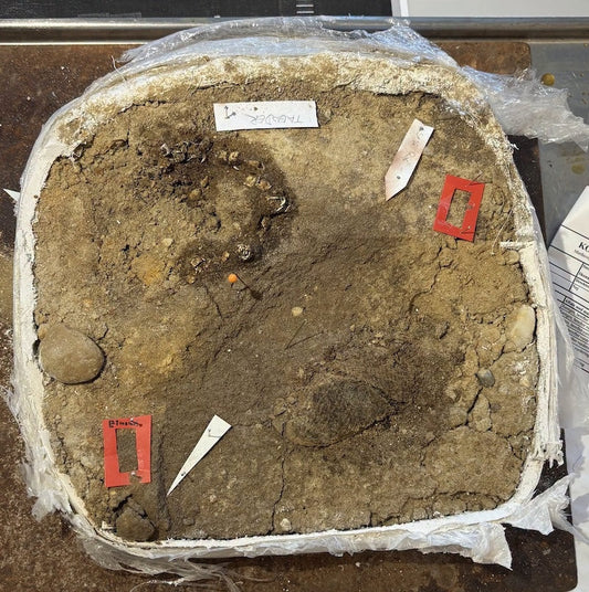 Bir Viking Kadınının Mezarında Elbise Parçaları Bulundu