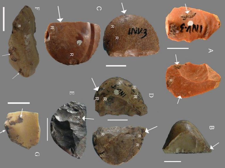 Neandertaller Taş Alet Yapımında Reçine Kullanmış