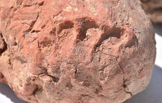 Ulucak Höyüğü’nde 8.000 Yıllık Parmak İzleri Bulundu