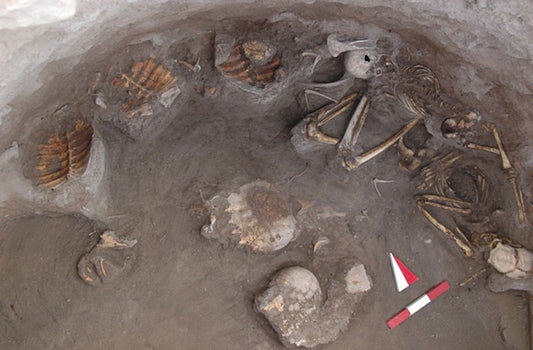 Kavuşan Höyük’te Yenmiş Kaplumbağalarla Gömülen Kadın ve Çocuk Bulundu