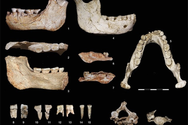 Neandertaller ile Olası Son Ortak Atamız Fas’ta Bulundu