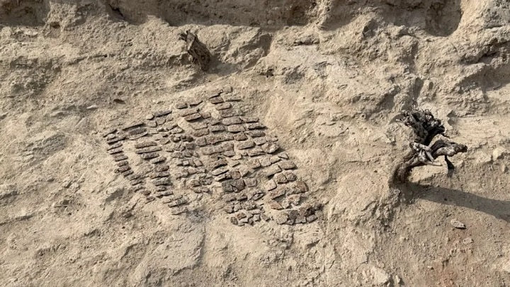 Özbekistan'ın Kanka Yerleşiminde 5.-7. Yüzyıllara Ait Tapınak ve Savaşçı Zırhı Ortaya Çıkarıldı