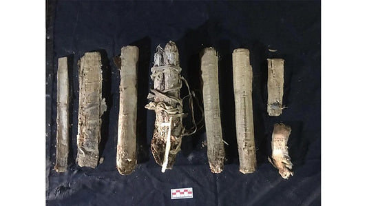 Luksor'daki Asasif Nekropolünde Amun Şarkıcılarına Ait Tabutlar ve Mühürlü Papirüsler Keşfedildi
