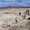 Oluz Höyük arkeoloji kazılarında bulunan Medlere ait kalıntılar arkeologları heyecanlandırdı