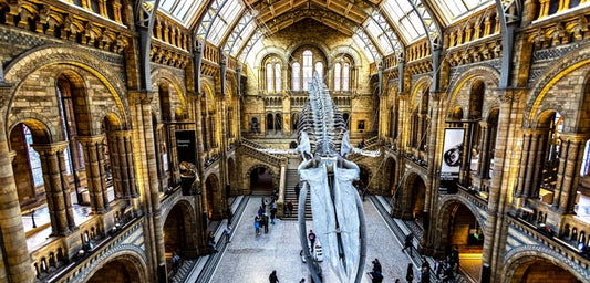 İkiyüz milyon yıllık fosil dahil 1700'e yakın tarihi eser Londra müzelerinden kaybolmuş