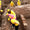 Kazakh archaeologist find burials from Saka, Hunnic, and the Golden Horde era in ancient capital of the Kimak Khaganate,