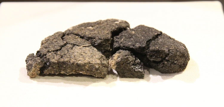 Küllüoba'da bulunan 5 bin yıllık ekmeğin tanıtımı Eti Arkeoloji Müzesinde yapıldı
