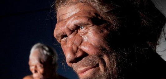 Neandertaller dalış yapabilecek kadar iyi yüzme biliyordu