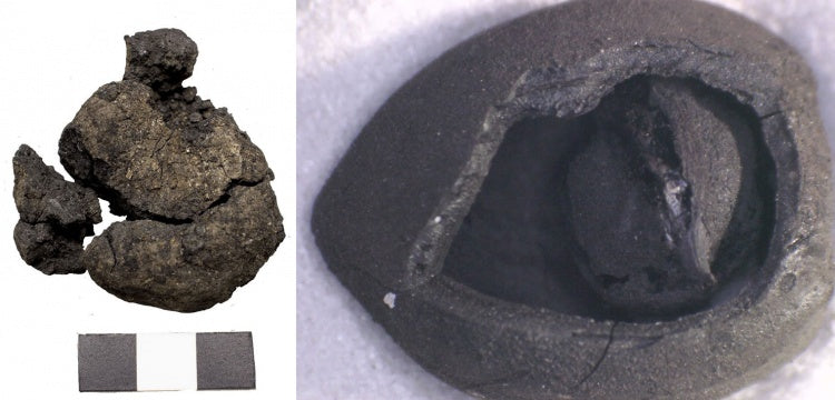 Çatalhöyük Kazılarının En Özel Eserleri Konya Arkeoloji Müzesi'nde Bir Araya Geldi