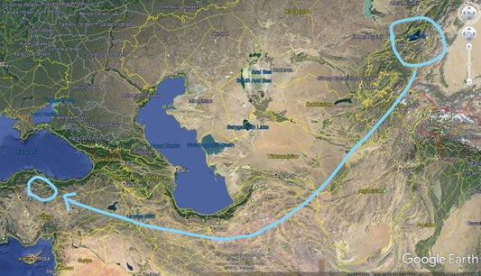 'Türkiye ve Kırgızistan'daki bin yıllık mezarlarda aynı gelenek kullanılmış'