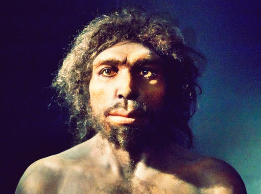 Homo antecessor İlk Defa Doğrudan Tarihlendi