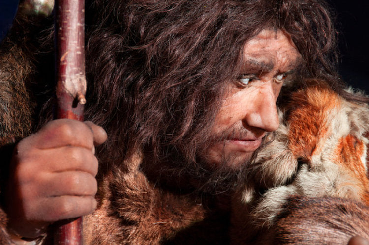 Hırvatistan’daki Mağara Neandertal ve Modern İnsanın Buluşma Yeri Değilmiş