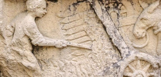 Romalıların keşfettiği tarımsal soruna çözüm aranıyor