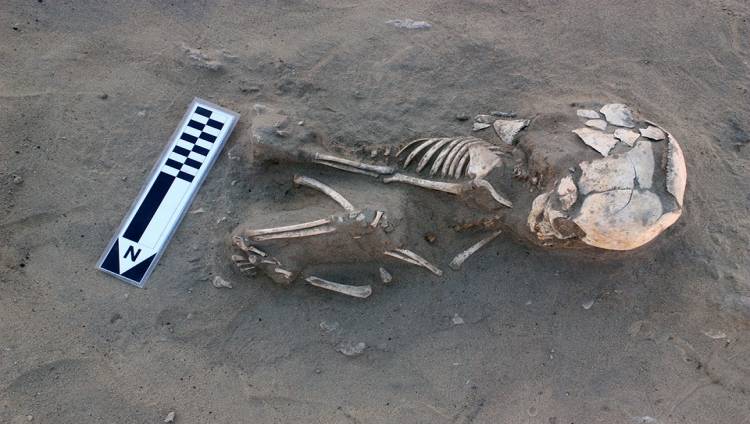 5,600 Yıllık En Eski İskorbüt Vakası Mısır’da Bebek İskeletinde Bulundu