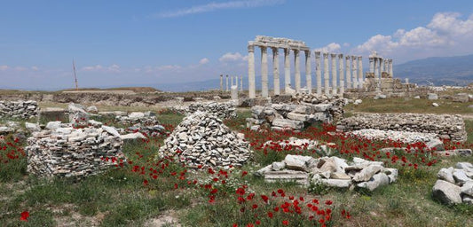 İki tiyatrolu Antik Kent Laodikya'da arkeoloji çalışmaları aralıksız sürüyor