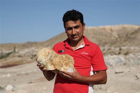 Kayseri’de Bir Çobanın İhbarıyla Milyonlarca Yıllık Fosiller Bulundu
