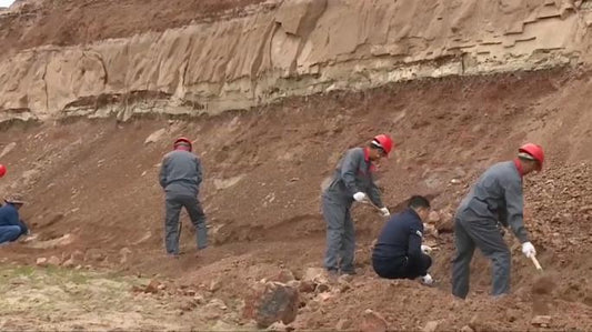 Çin’de 100 milyon yıllık dinozor fosilleri için kazı başlatıldı