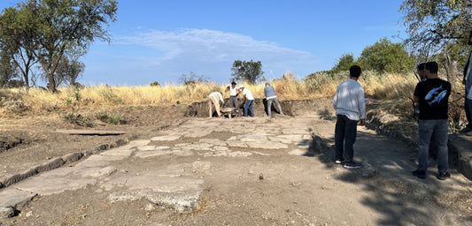 Troya'da 1500 Yıllık Depremin İzleri Roma Caddesinde Ortaya Çıkarıldı