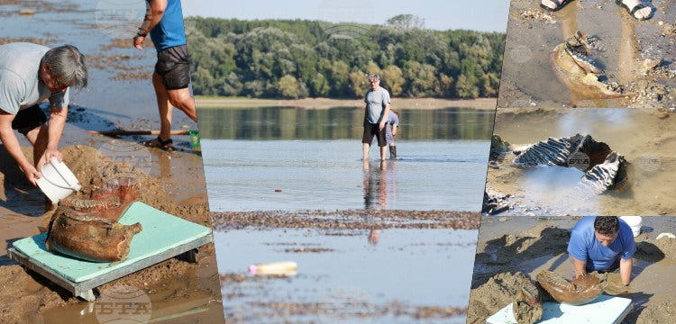 Rusçuk'ta Tuna Nehrinin sularından tüylü mamut fosilleri çıkarıldı