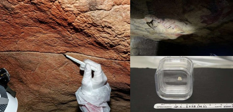 Mağara duvarlarının DNA'ları binlerce yıl korunabildiği anlaşıldı.