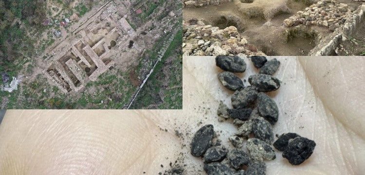 Daskyleion Antik Kenti’nde arkeologlar 2600 yıllık kömürleşmiş tohumlar buldu