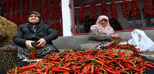 Çukurören Biberi Festivali, Bilecik'in üretim kültürünü yaşatıyor