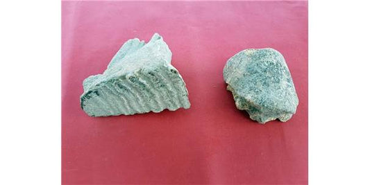 Tatarlı Höyük Kazılarında Fil Kalıntıları Bulundu