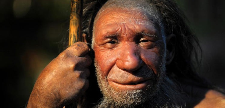 Neanderthal DNA'larında Homo Sapiens geni bulunamadı