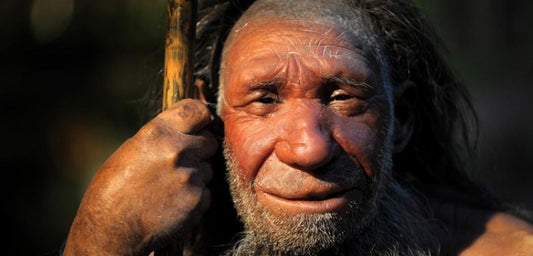 Neanderthal DNA'larında Homo Sapiens geni bulunamadı
