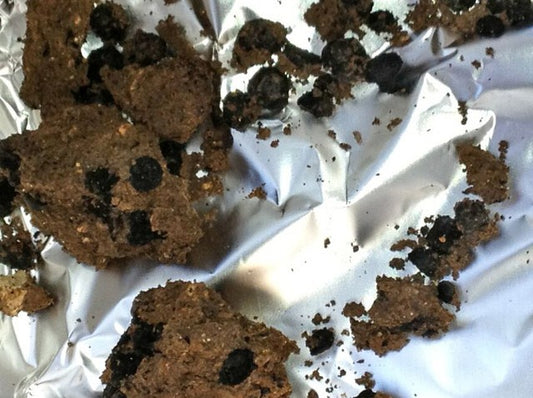 10.000 Yıl Önce İsrail’de Baklagil Tüketiliyordu