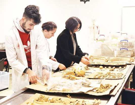 8500 yıllık hemşeriler gen masasında