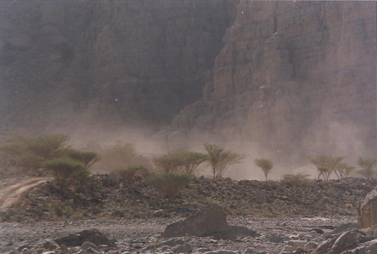Modern İnsanın Afrika’dan Göçünün Nedeni İklimsel Olabilir