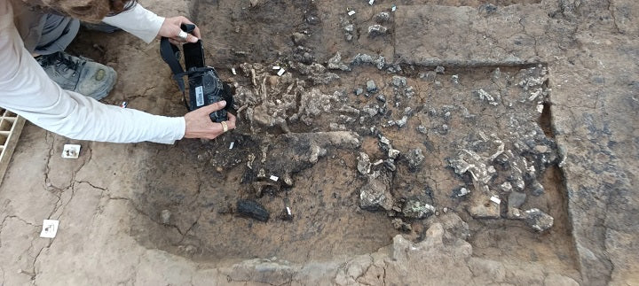 Güneybatı Fransa'da Roma Dönemine Ait Olağanüstü Zengin Bir Cenaze Ateşi Keşfedildi