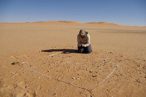 Arabistan Çölleri Modern İnsanın Dünyaya Yayılımı Sırasında Yemyeşildi