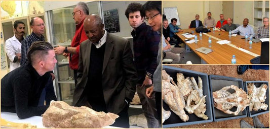8 milyon yıllık kurutlu fosilleri paleontoloji dünyasının gündeminde